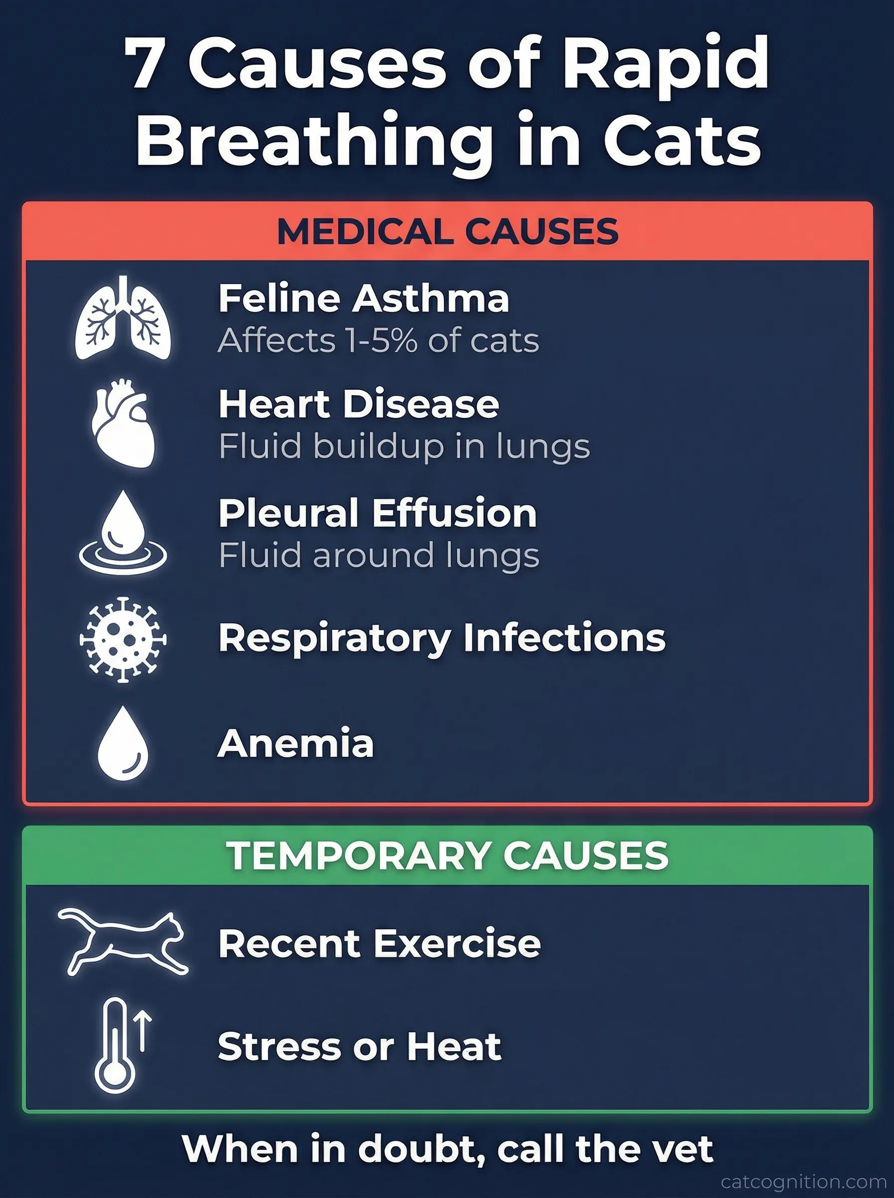 Infographic listing 7 causes of rapid breathing in cats divided into medical causes (asthma, heart disease, pleural effusion, infections, anemia) and temporary causes (exercise, stress)