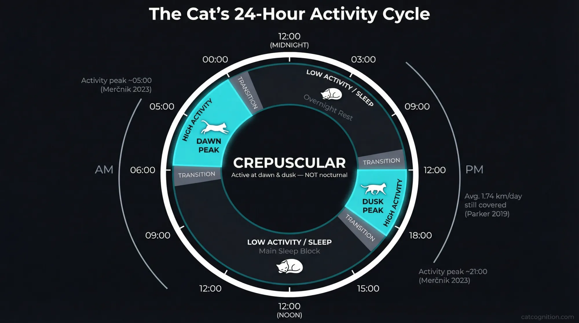 Radial 24-hour clock diagram illustrating the domestic cat's crepuscular activity pattern, with high-activity arcs at dawn (04:30–07:00) and dusk (18:30–21:30) and sleep zones occupying midday and overnight hours. Activity peak times at approximately 05:00 and 21:00 are drawn from Merčnik et al. (2023), with the annotation that indoor cats walk an average of 1.74 km per day despite appearing sedentary (Parker et al., 2019). The center corrects the common misconception that cats are nocturnal.