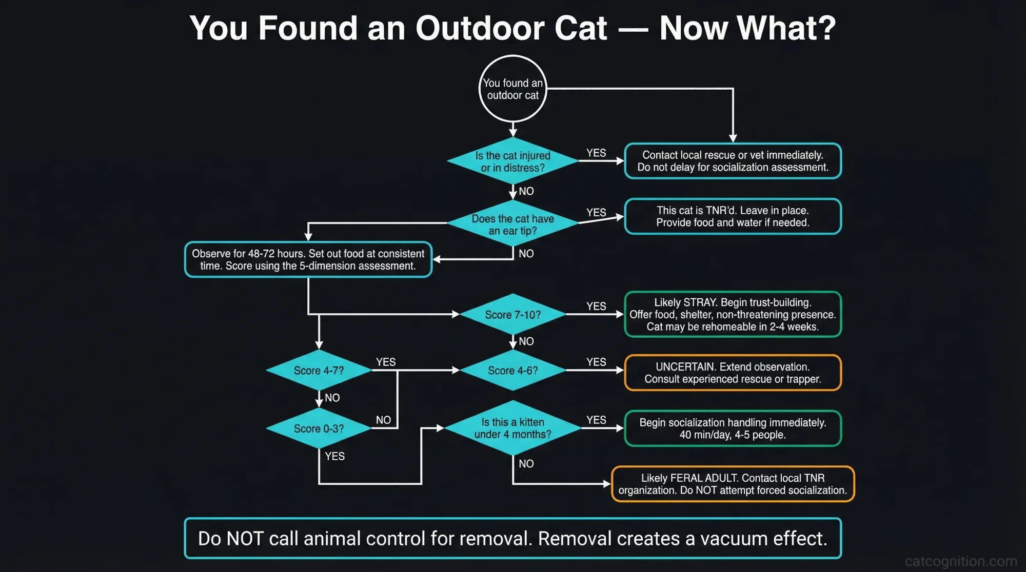 A decision flowchart guiding the reader through what to do when they find an outdoor cat, with branching paths based on behavioral assessment leading to outcomes of rehoming for stray cats, TNR for feral adults, and socialization for feral kittens under four months