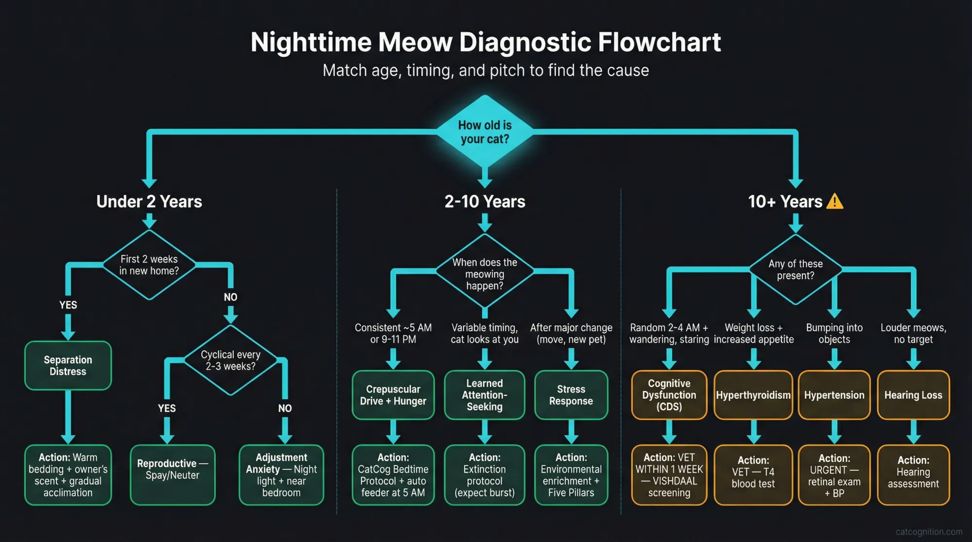 Nighttime Meow Diagnostic Flowchart — age-segmented decision tree showing diagnostic paths for kittens, adults, and senior cats