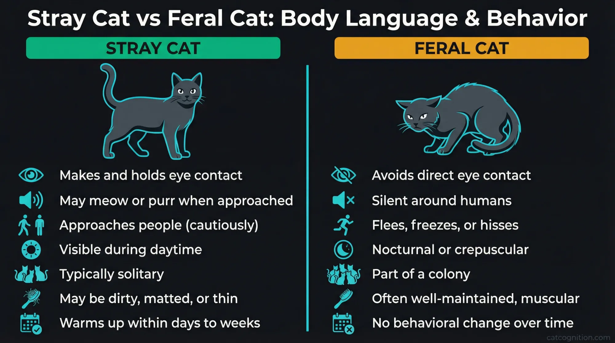A side-by-side comparison chart showing the key behavioral differences between stray cats and feral cats across nine dimensions including approach behavior, eye contact, vocalizations, body posture, activity schedule, coat condition, ear tip status, colony membership, and response over time