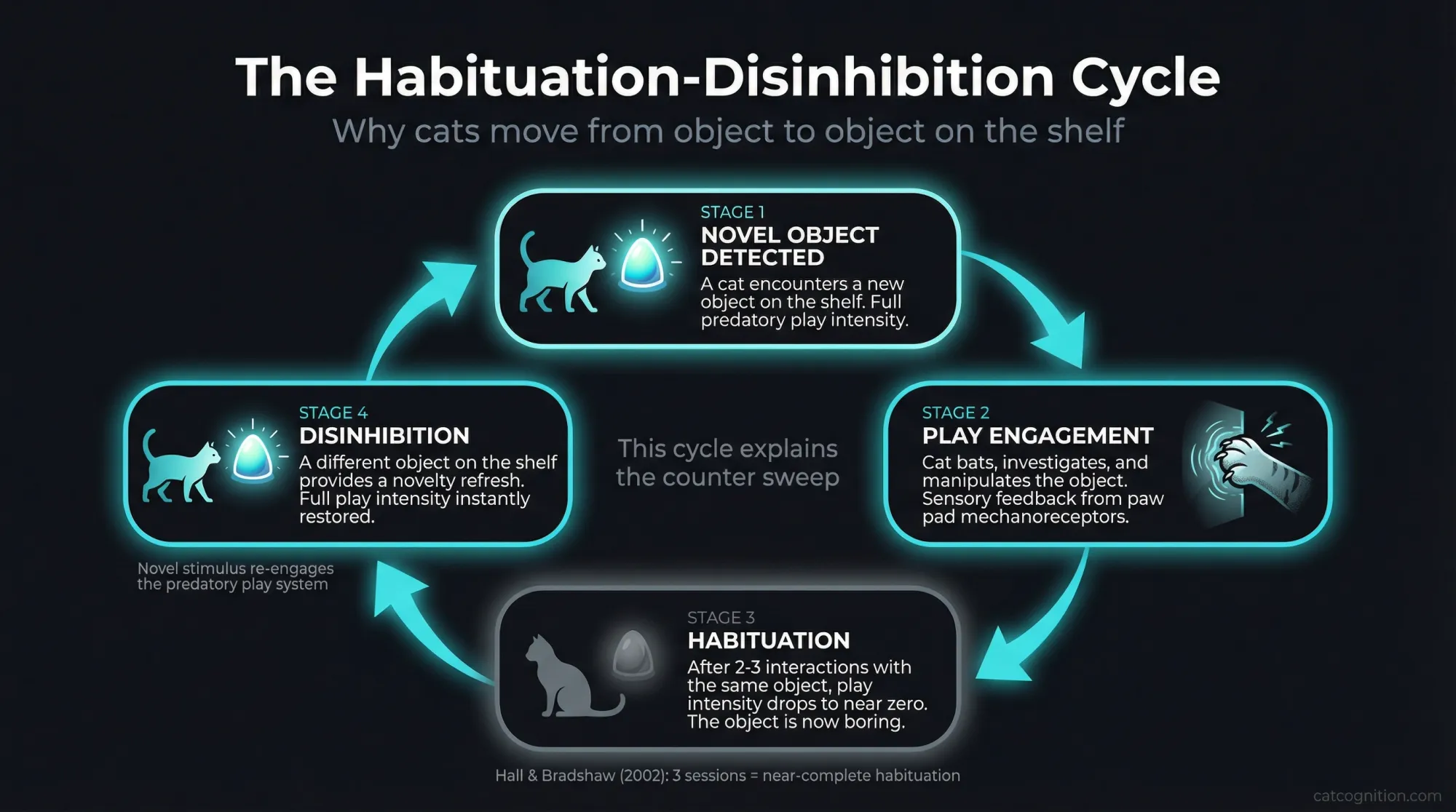Habituation-disinhibition cycle diagram showing why cats move from object to object