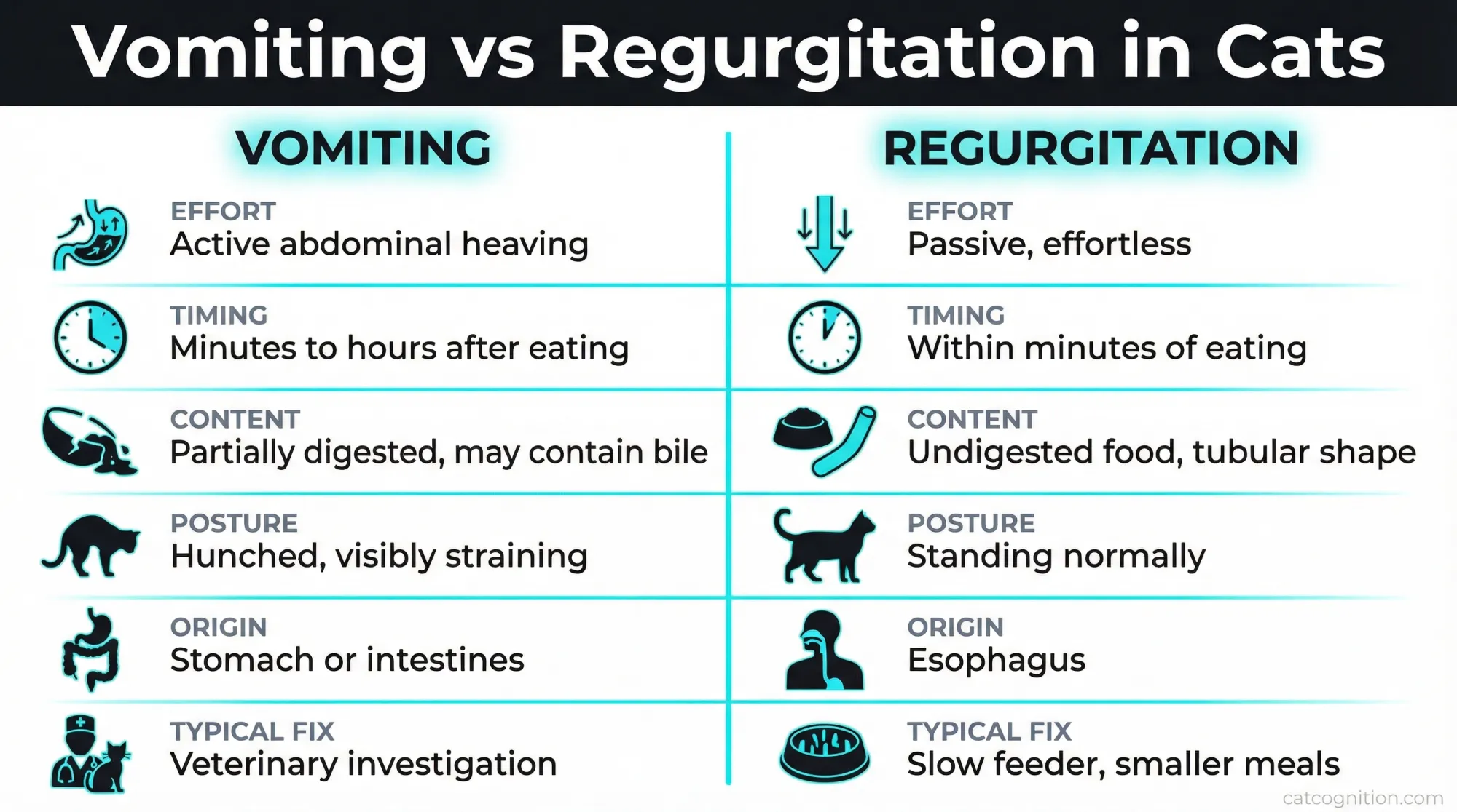 Side-by-side comparison chart showing the six key diagnostic differences between vomiting and regurgitation in cats, including effort level, timing after eating, content appearance, posture, anatomical origin, and typical treatment approach.