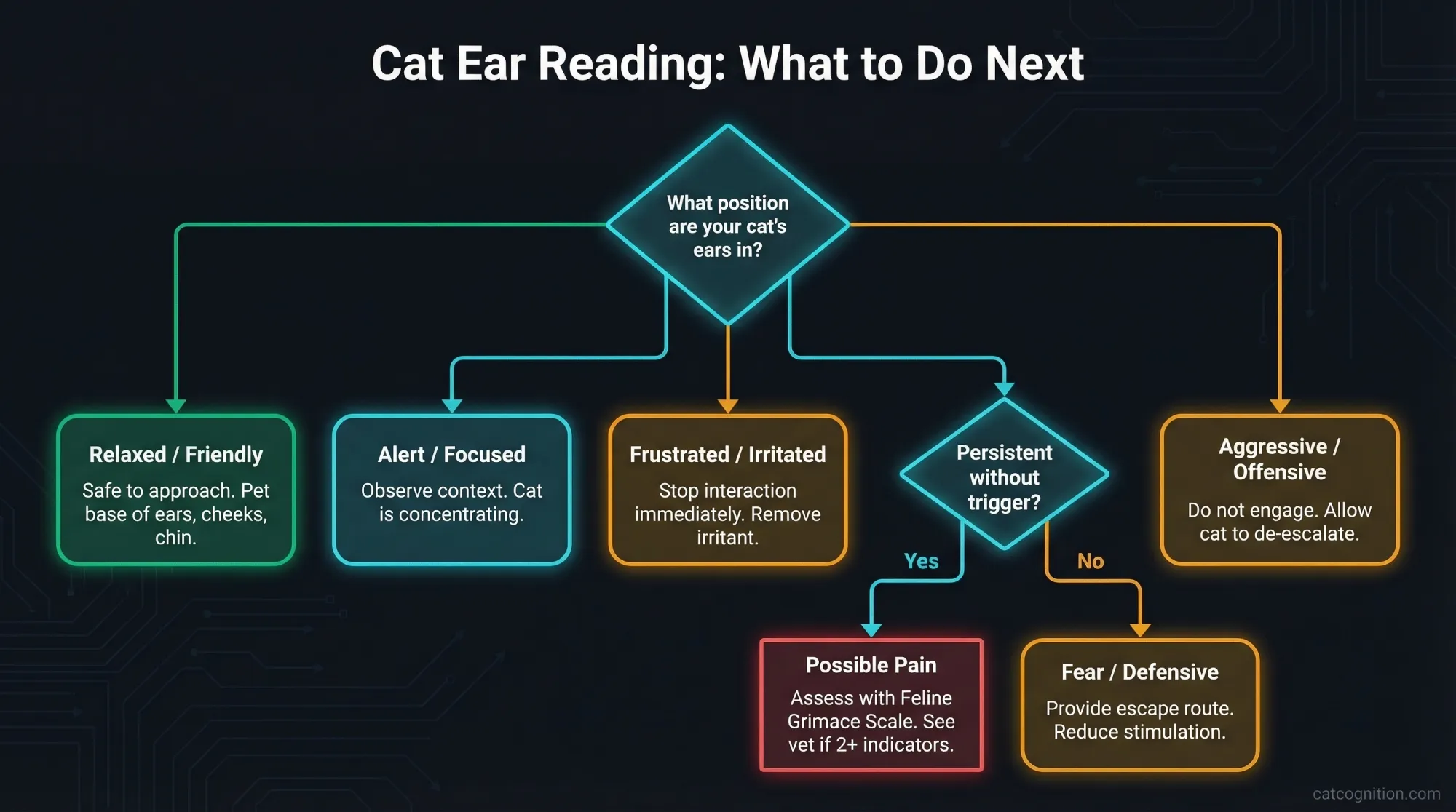 Cat ear reading decision flowchart mapping ear positions to emotional states and recommended actions