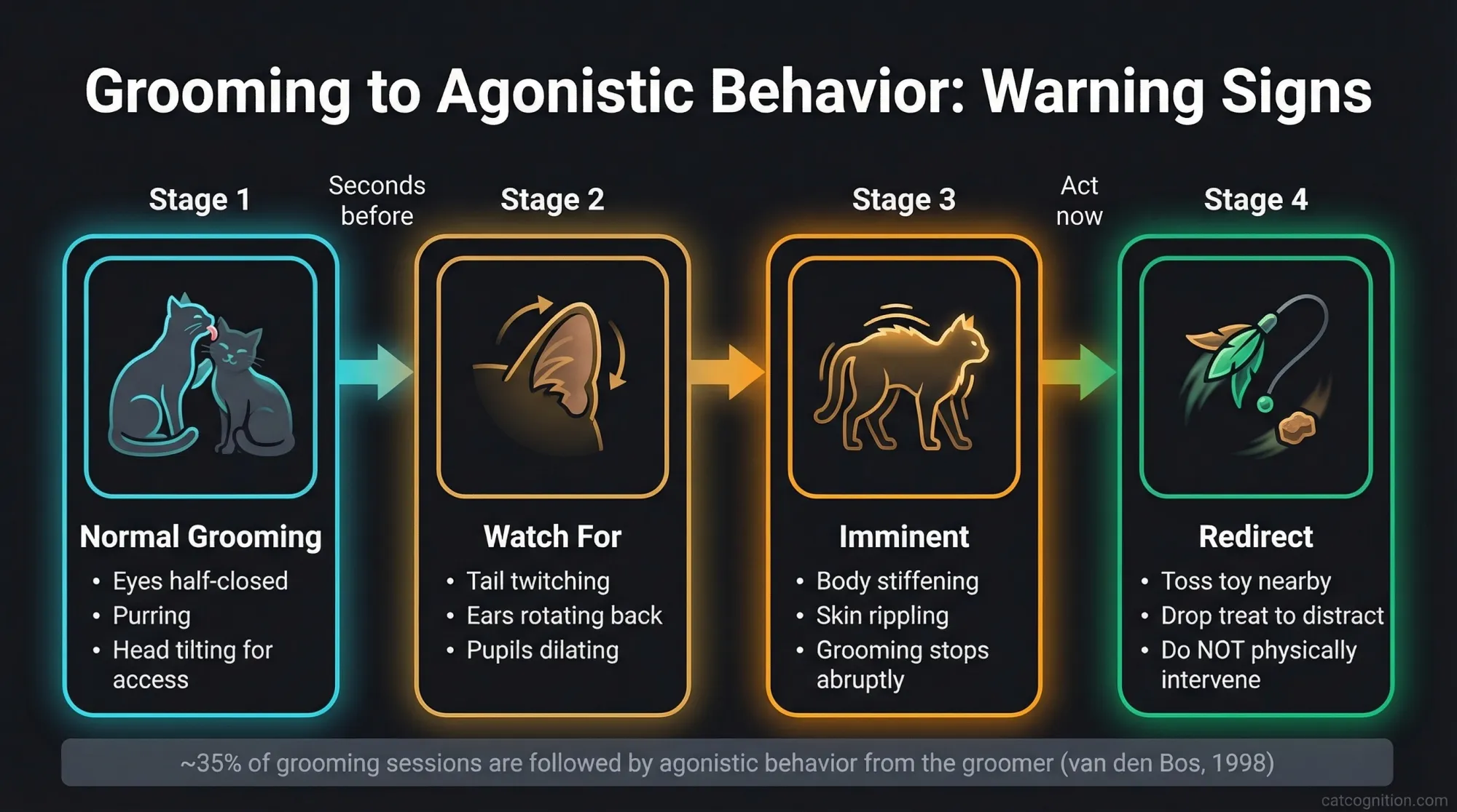 Groom-then-fight warning signs flowchart for cat owners