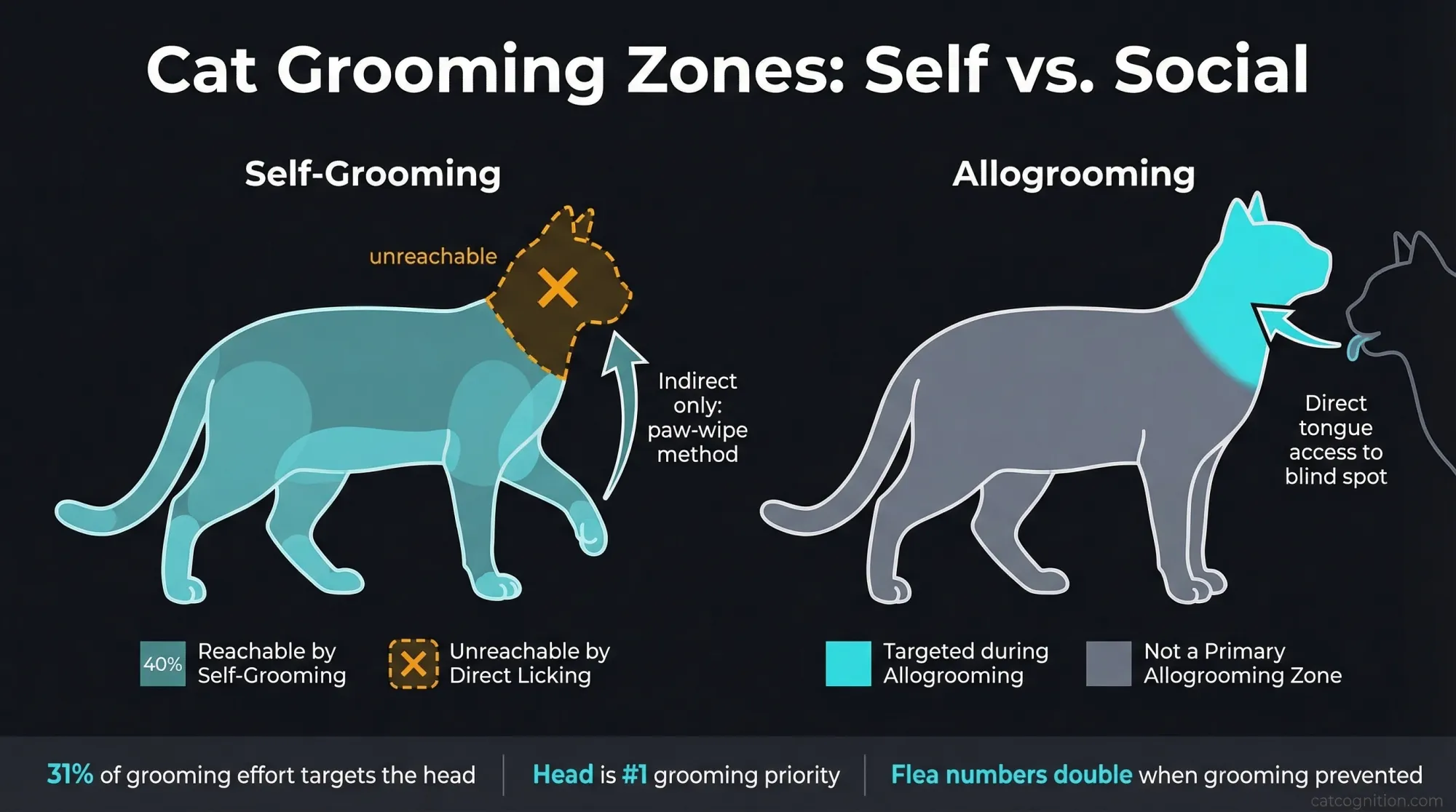 Cat grooming body zone map comparing self-grooming and allogrooming targets
