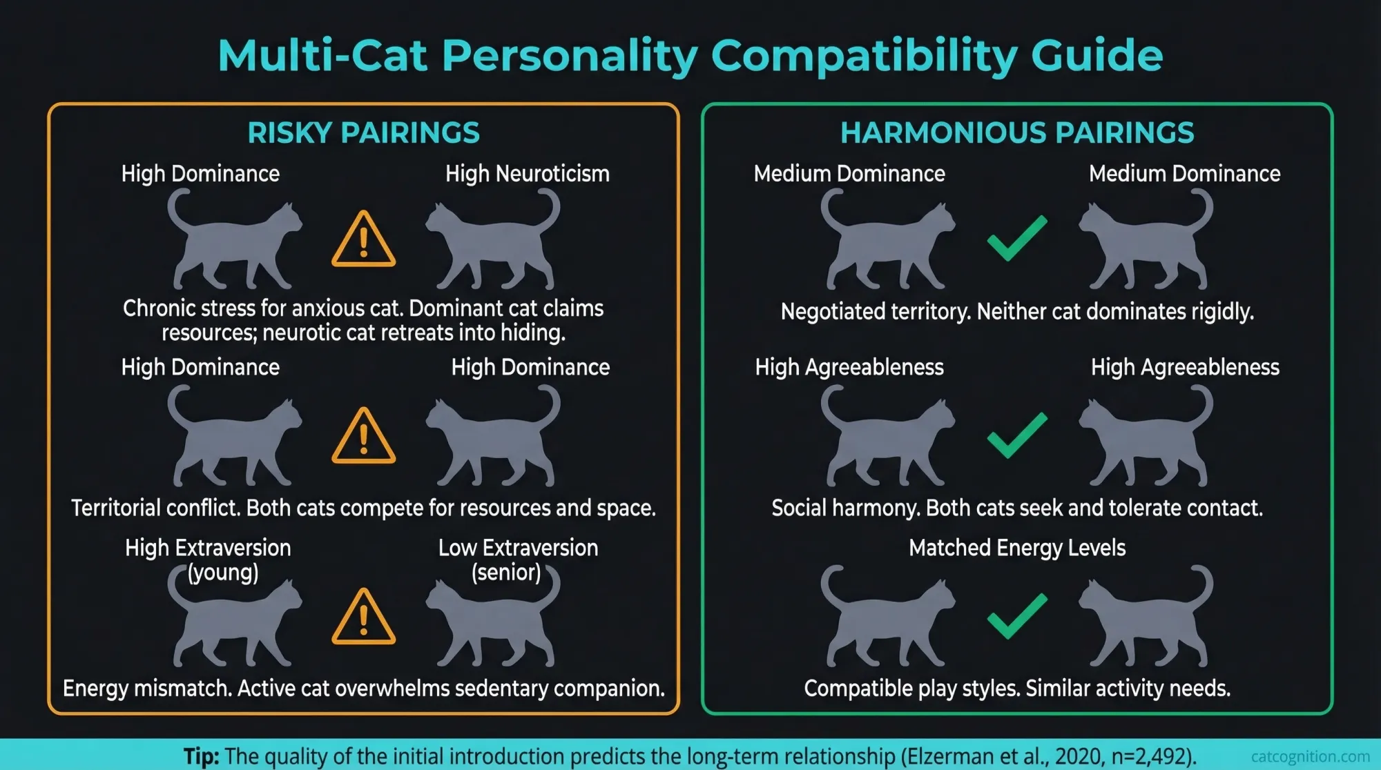 Multi-cat personality compatibility guide showing risky pairings (high Dominance with high Neuroticism) and harmonious pairings (matched Agreeableness levels) based on the Feline Five framework.