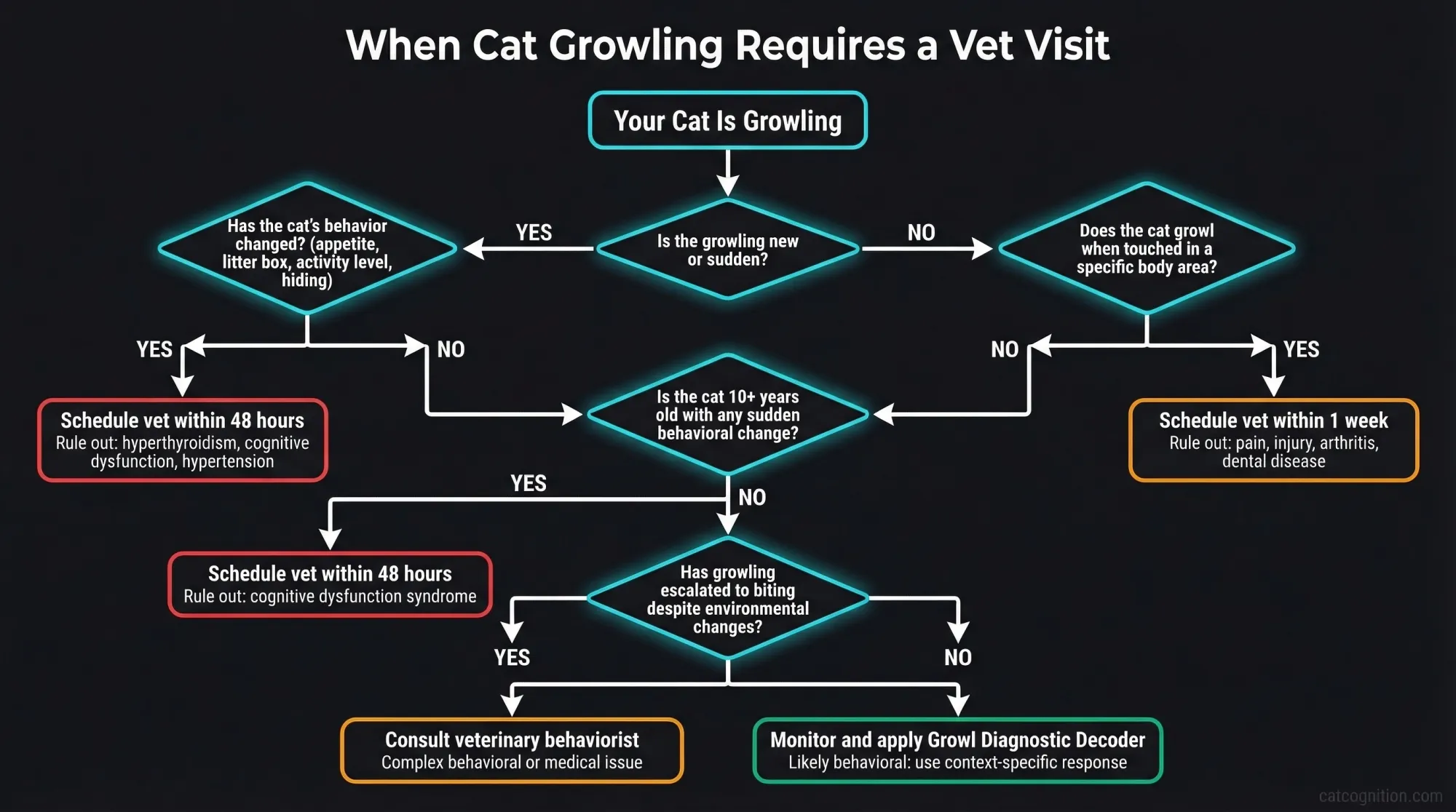 When Cat Growling Requires a Vet Visit: Decision Flowchart