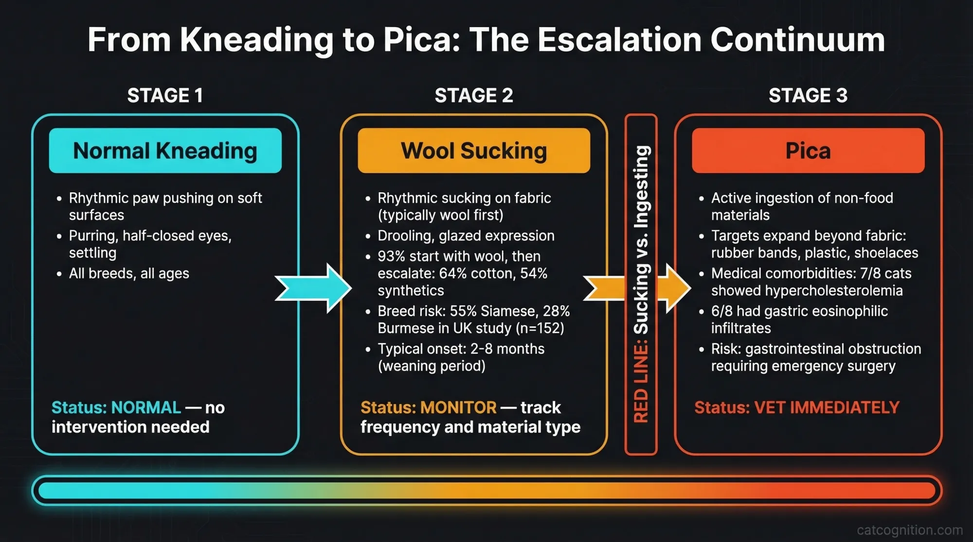 From Kneading to Pica: 3-stage escalation continuum in cats