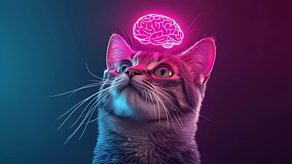 The Psychology of Cats: What Science Really Knows About Feline Minds