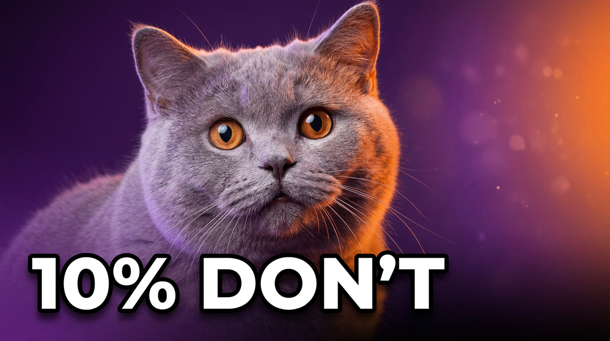 British Longhair cat with wide searching eyes against a purple and orange background - Male Cat Behavior After Neutering