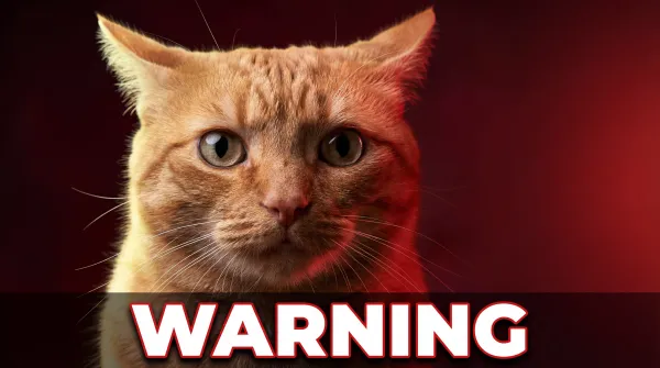 Why Is My Cat Breathing Fast? Normal Rates and Warning Signs